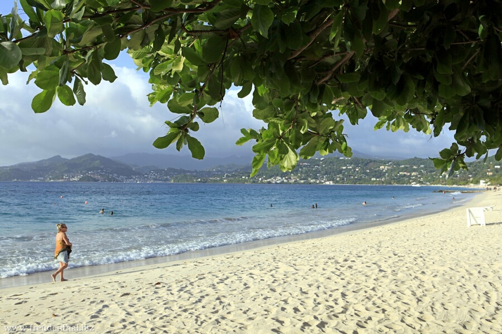 Schattenspendende Bäume und feiner Sandstrand an der Grand Anse von Grenada