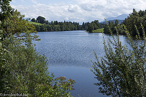 Immer wieder eine schöne Sicht auf den Schwaltenweiher