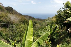 Blick über die Landschaft zum karibischen Meer