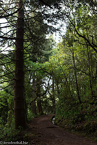 entlang der Levada von Queimadas