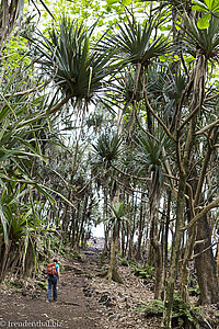 Sentier des Pêcheurs bei der Anse des Cascades