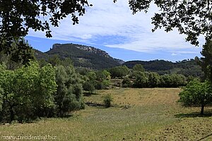 Landschaft zwischen Esporles und Banyalbufar