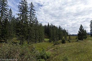 Auf der Wanderung zum Piesenkopf