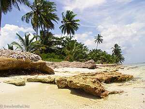 Strand der Isla Saona