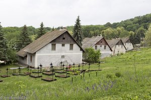 Wohnhäuser und Friedhof bei der Manastirea Hancu im Wald von Bursuc