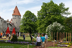 Platz der Türme in Tallinn