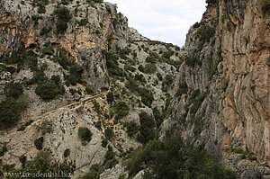 Blick über die Schlucht beim Pas Llis