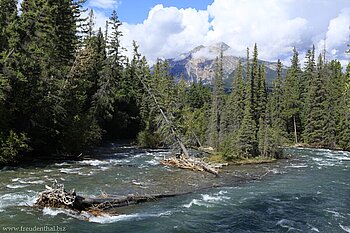 Blick über den Maligne River