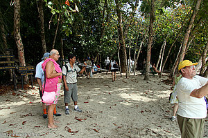 Touristen auf der Suche nach den Kapuzineraffen.