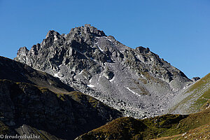 Wildseehorn