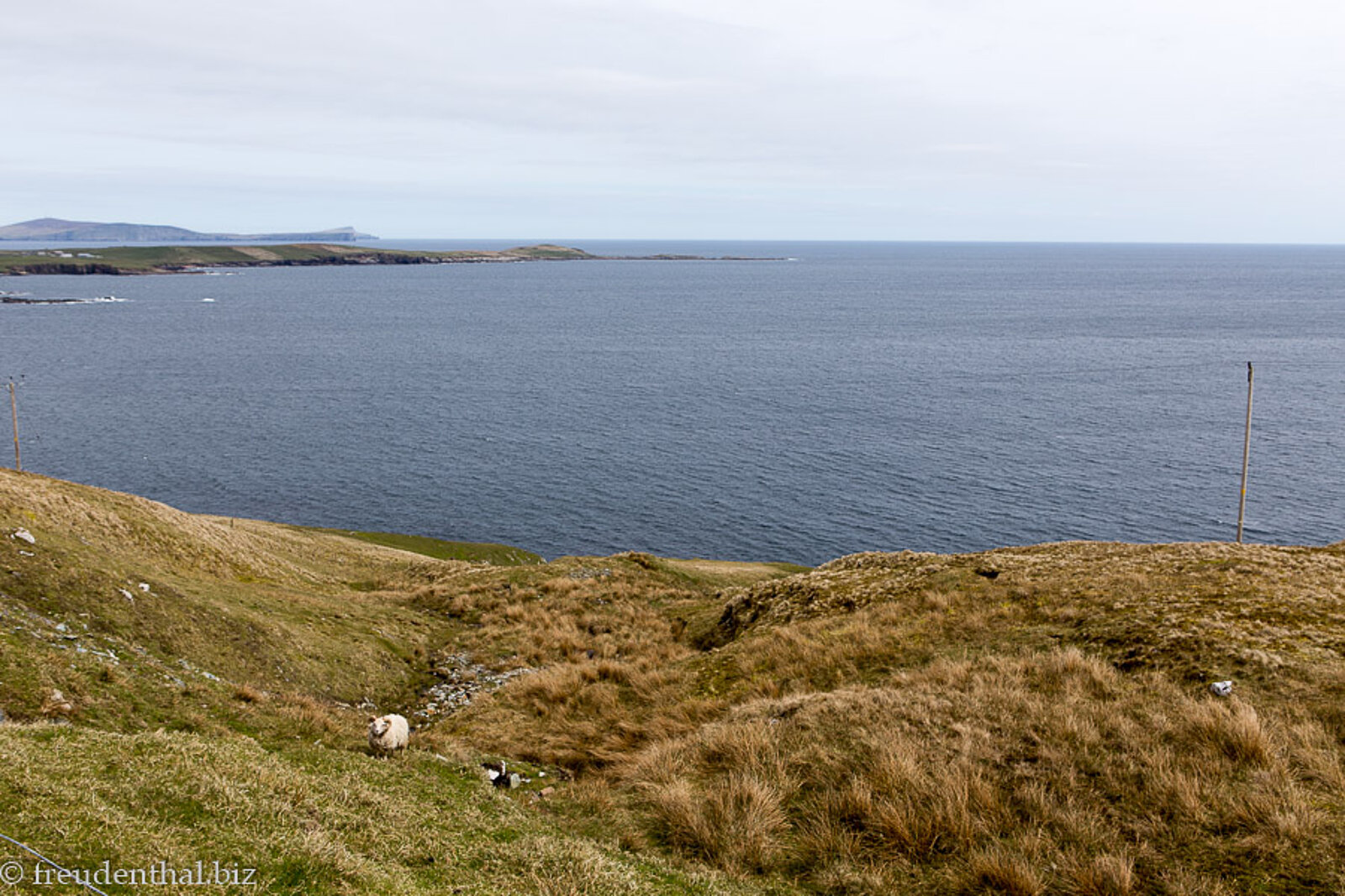 Ausblick beim Mousa Sound aufs Meer bei den Shetland-Inseln