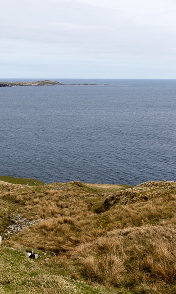 Ausblick beim Mousa Sound