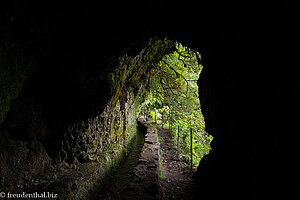 im Tunnel entang der Levada zum Caldeirão Verde