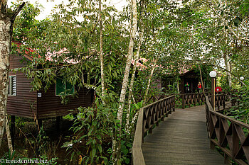 Kinabatangan Riverside Lodge - Weg vom Hauptgebäude zu den Bungalows