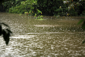 Monsunregen auf Borneo