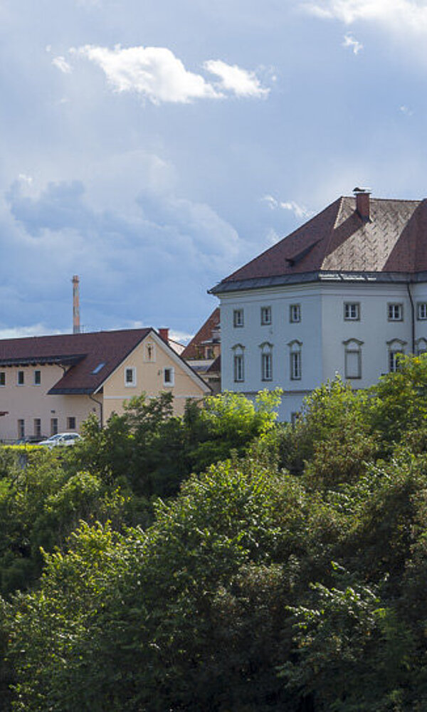 Die Altstadt von Kranj über der Kokra