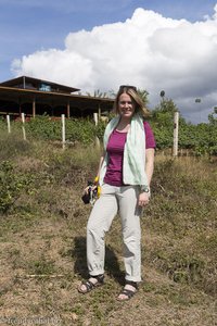 Anne beim Red Mountain Estate Vineyards & Winery in Myanmar