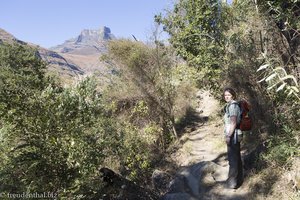 Einstieg zur Wanderung am Tugela Gorge
