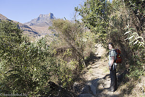 Einstieg zur Wanderung am Tugela Gorge