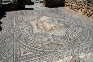 Mosaik im Haus der Reiter von Volubilis