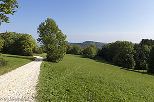 Wanderung bei der Boller Heide