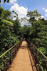 Hängebrücke zum Wandertrail