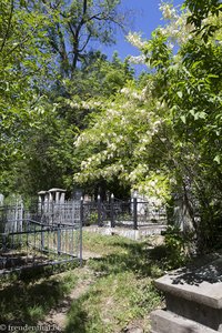 auf dem jüdischen Friedhof von Orhei