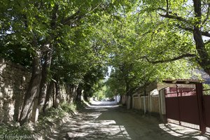 Straße von Butuceni bei Orheiul Vechi in Moldawien