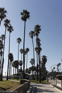 Strandpromenade von Santa Barbara