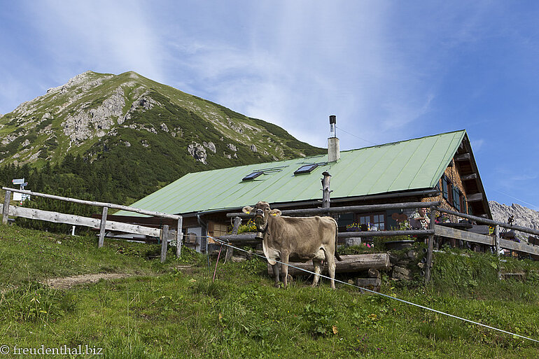 Innere Kuhgehrenalpe im Kleinwalsertal