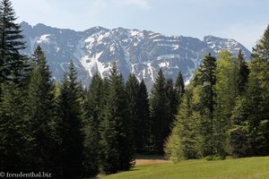 Blick vom Chräzerenwald zum Alpsteingebirge
