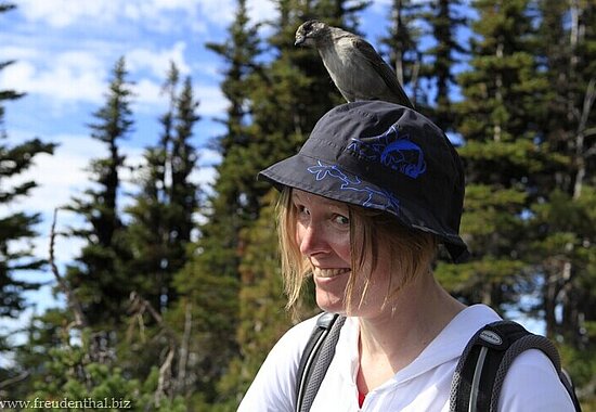 Annette hat einen Vogel | tierische Begegnung in Kanada