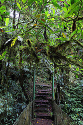 Hängebrücke auf dem Sendero Catarata