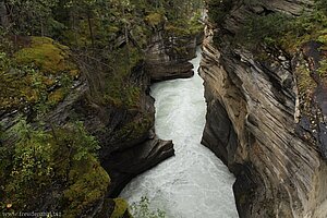 Athabasca Canyon