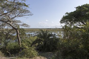 Sumpflandschaft im iSimangaliso Wetland Park von St. Lucia