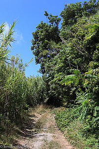 Wanderweg vom Leuchtturm zum kleinen Campingplatz