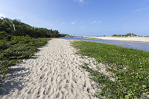 sandiger Wanderweg im Tayrona Nationalpark