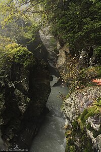 Blick in die Schlucht der Burkhardklamm.