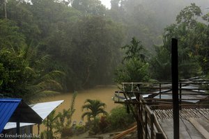 Monsunregen im Regenwald von Borneo
