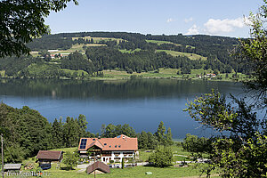 Schöne Aussicht auf den Alpsee