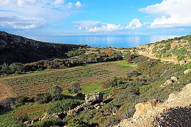 Rückblick zum Meer von der Avakas Gorge Road