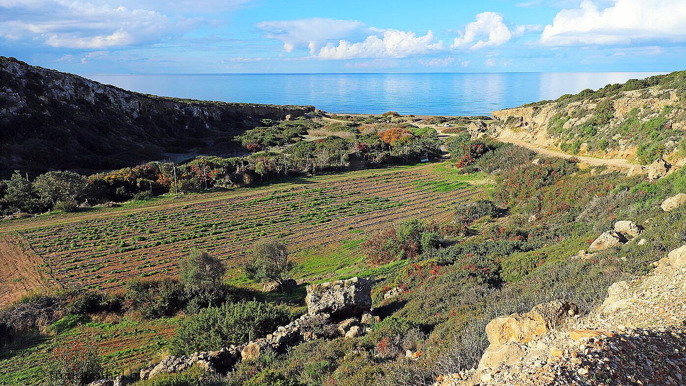 Rückblick zum Meer von der Avakas Gorge Road