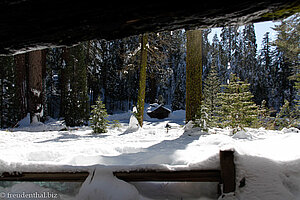 The Fallen Monarch - Blick hinaus in die Winterlandschaft