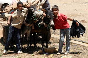 arme Esel... Kinder in Khemisset