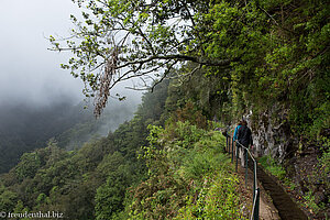 Wanderung an der Levada do Rei