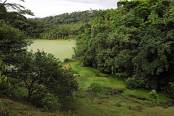 Der Lago Verde - keine Lagune, nur Entengrütze
