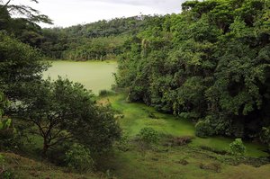 Der Lago Verde - keine Lagune, nur Entengrütze