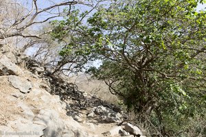 Wanderweg in den hinteren Teil des Wadi Darbat im Oman