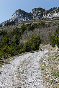 Wanderweg von Alp Walau nach Ober Furgglen