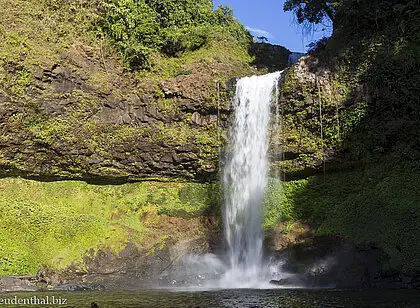 Bolaven Plateau